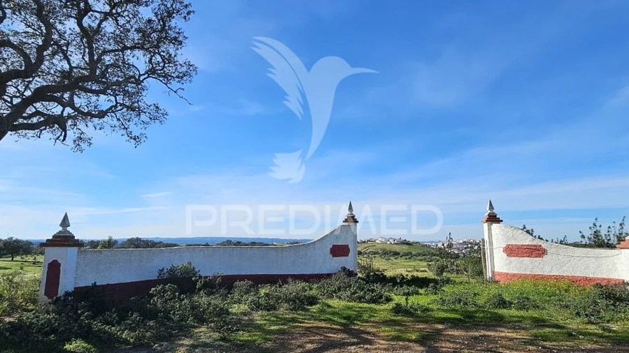 Terreno para Venda em Ourique