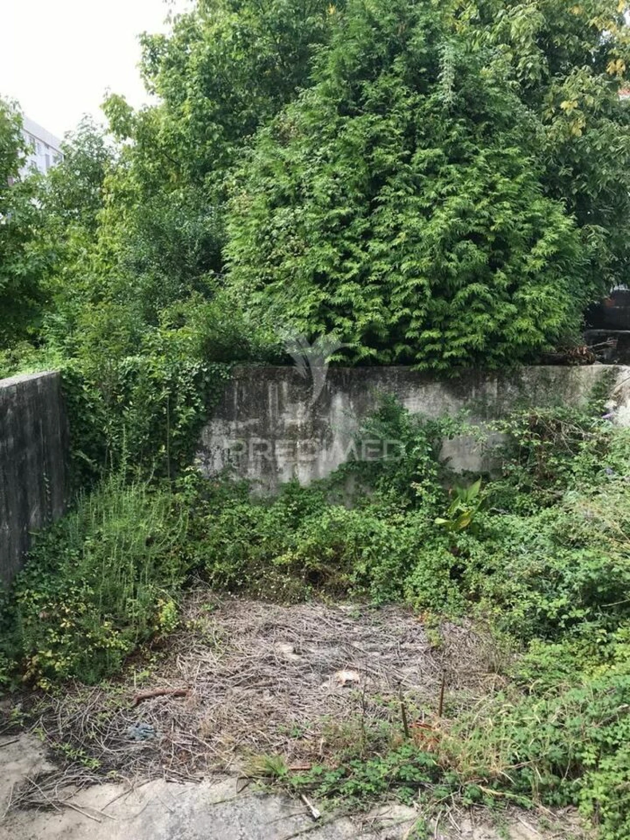 Prédio para Venda em Cedofeita, Santo Ildefonso, Sé, Miragaia, São Nicolau e Vitória Foto 11