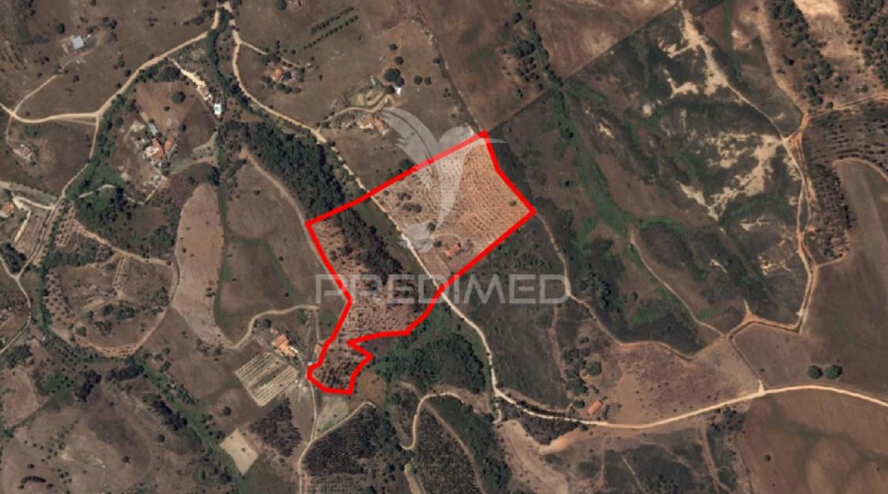 Moradia T2 para Venda em São Martinho das Amoreiras Foto 39