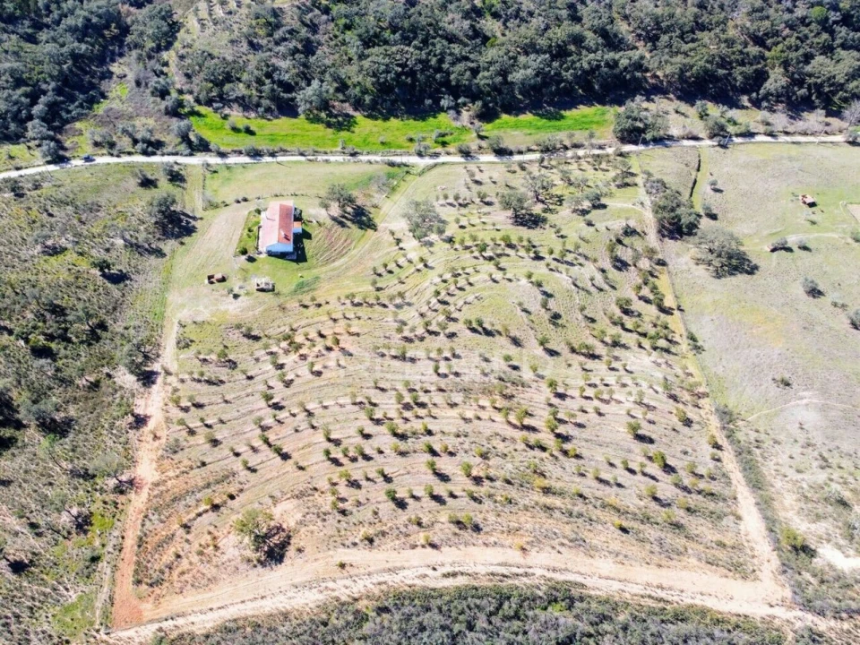 Moradia T2 para Venda em São Martinho das Amoreiras Foto 34