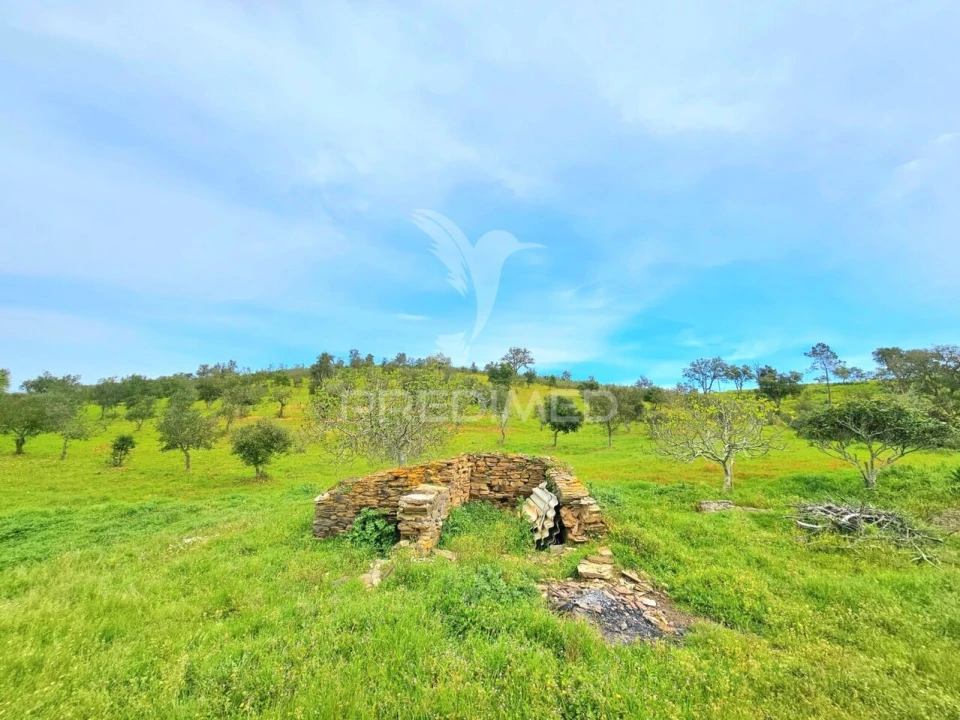 Moradia T2 para Venda em São Martinho das Amoreiras Foto 28