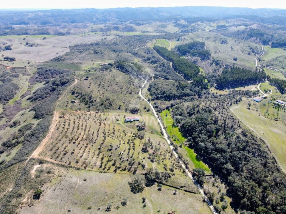 Moradia T2 para Venda em São Martinho das Amoreiras Foto 36