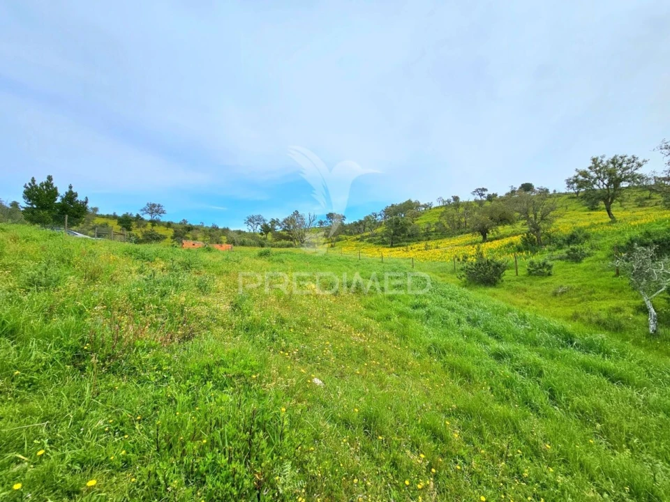 Moradia T2 para Venda em São Martinho das Amoreiras Foto 27