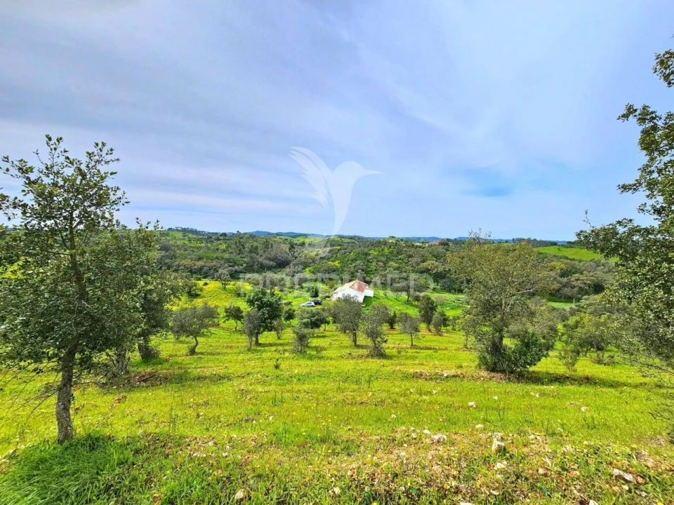 Moradia T2 para Venda em São Martinho das Amoreiras Foto 31