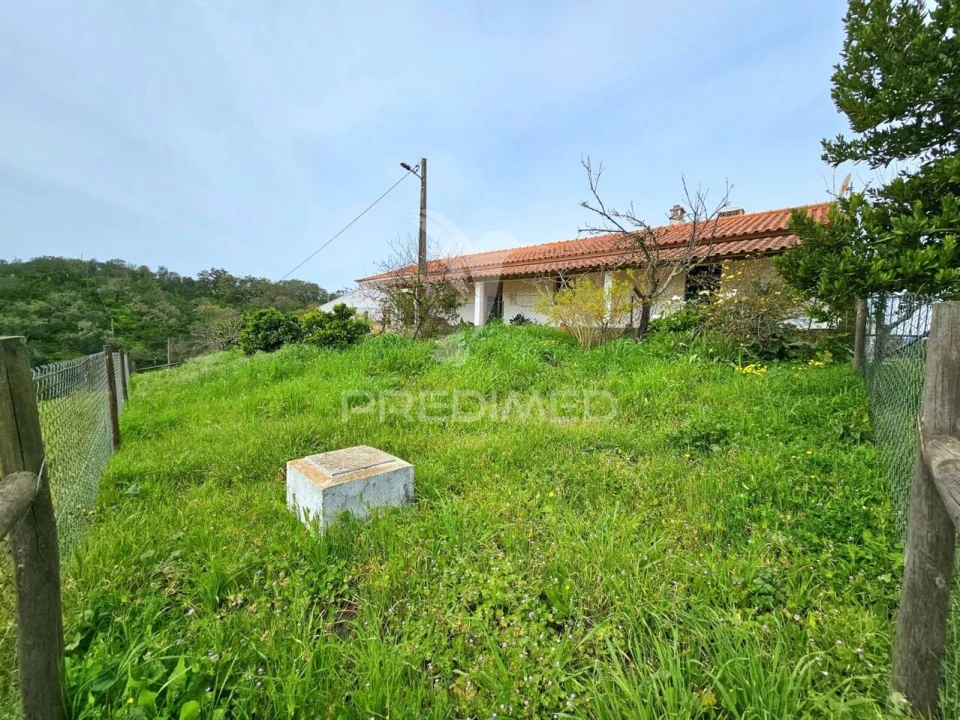 Moradia T2 para Venda em São Martinho das Amoreiras Foto 22