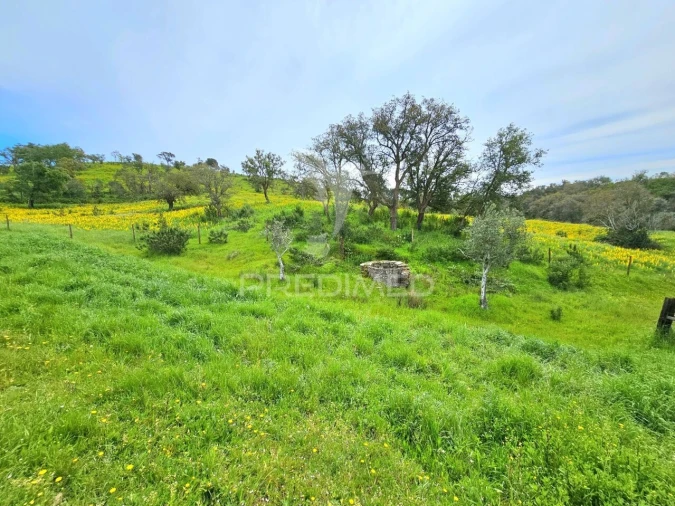 Moradia T2 para Venda em São Martinho das Amoreiras Foto 29
