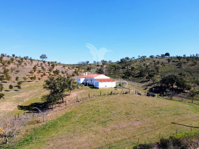 Moradia T2 para Venda em São Martinho das Amoreiras Foto 38