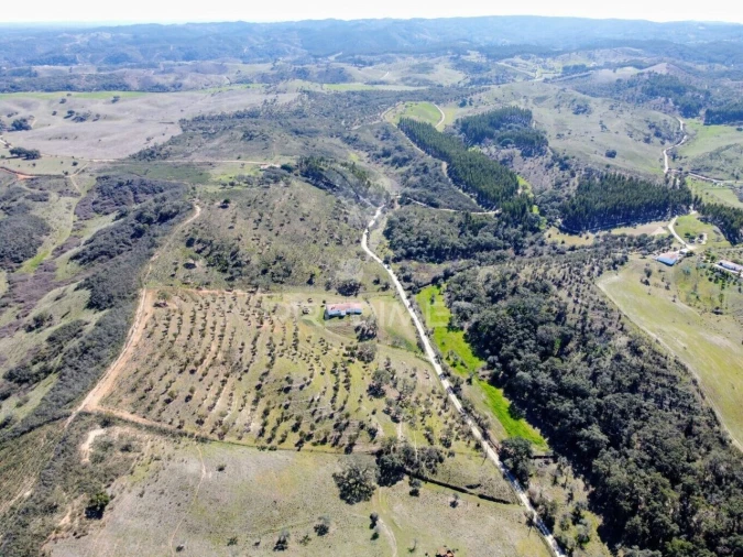 Moradia T2 para Venda em São Martinho das Amoreiras Foto 36