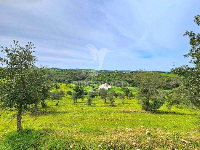 Moradia T2 para Venda em São Martinho das Amoreiras Foto 31