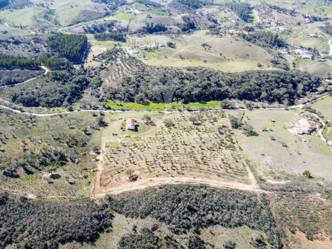 Moradia T2 para Venda em São Martinho das Amoreiras Foto 35