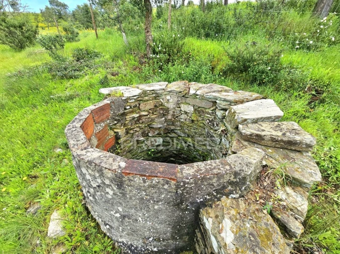 Moradia T2 para Venda em São Martinho das Amoreiras Foto 23