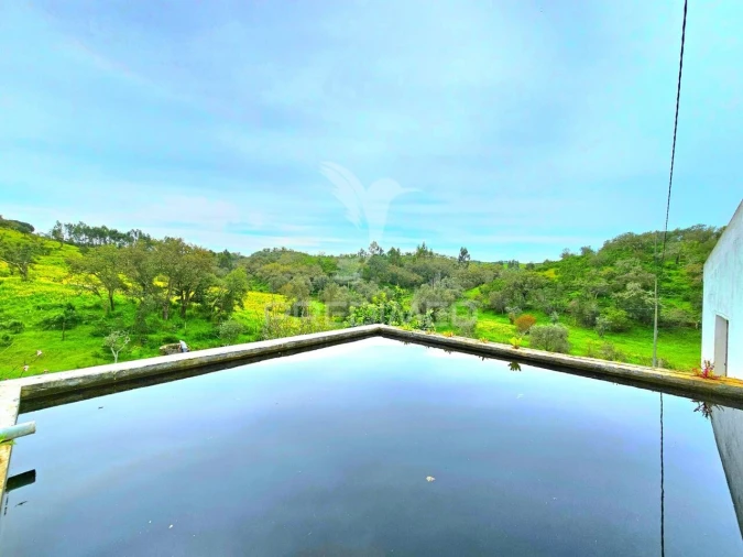 Moradia T2 para Venda em São Martinho das Amoreiras Foto 21