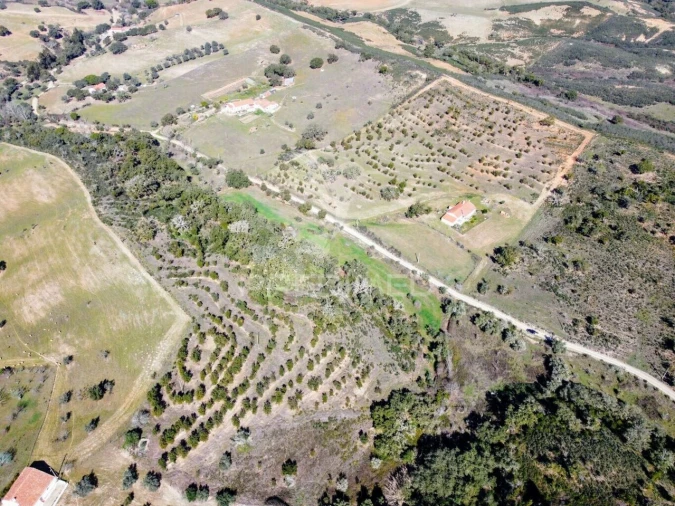 Moradia T2 para Venda em São Martinho das Amoreiras Foto 37