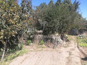 Terreno para Venda em Alagoa