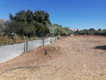 Terreno para Venda em Alagoa