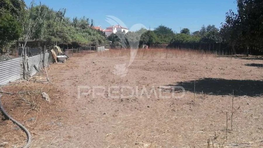 Terreno para Venda em Alagoa