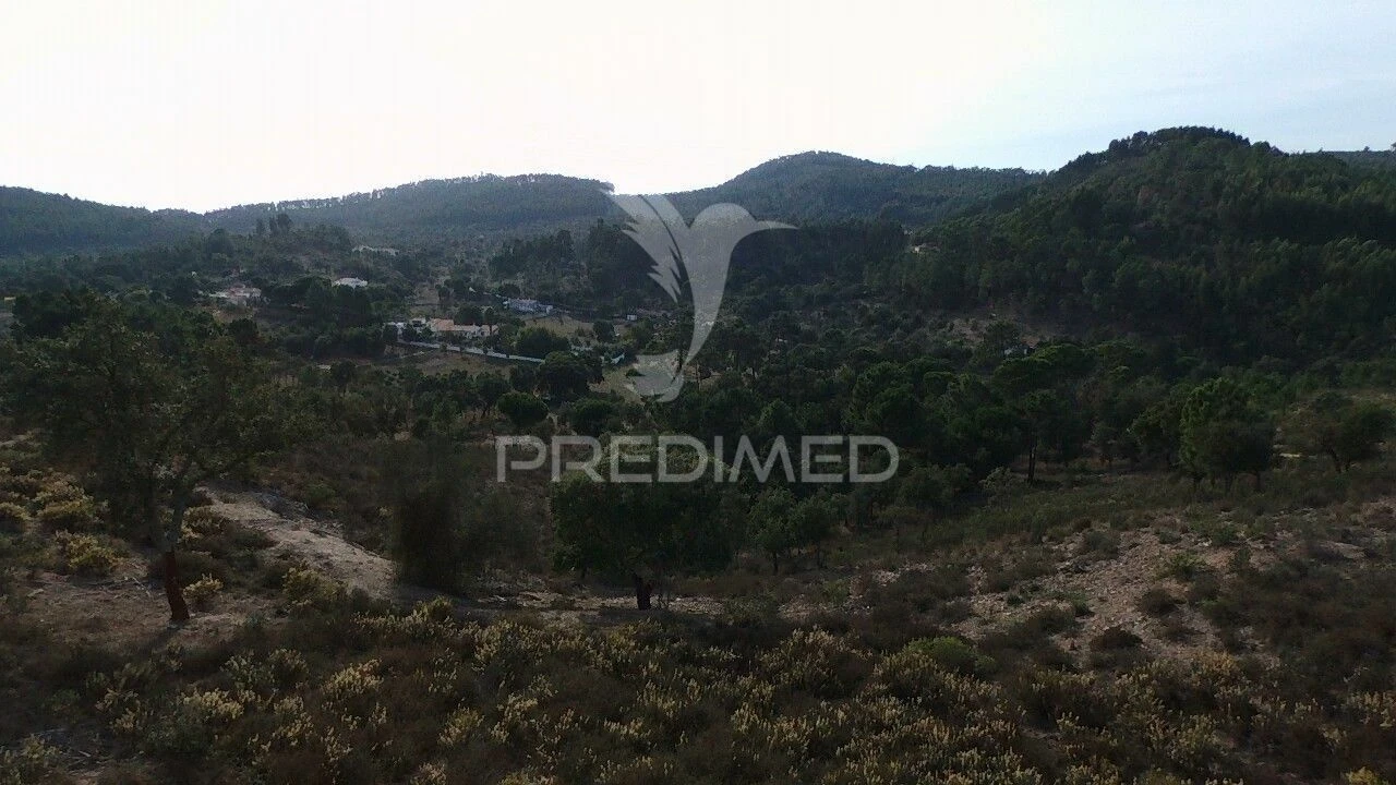 Terreno para Venda em São Luis Foto 6