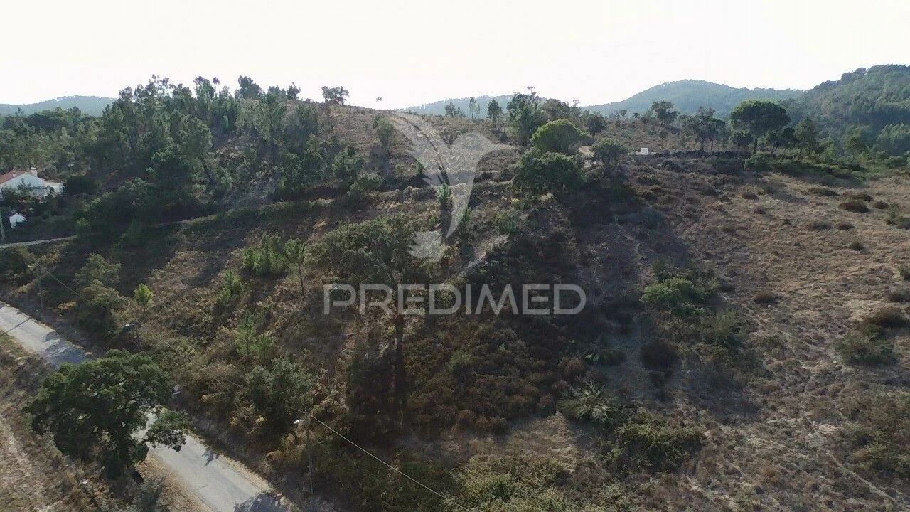 Terreno para Venda em São Luis Foto 5