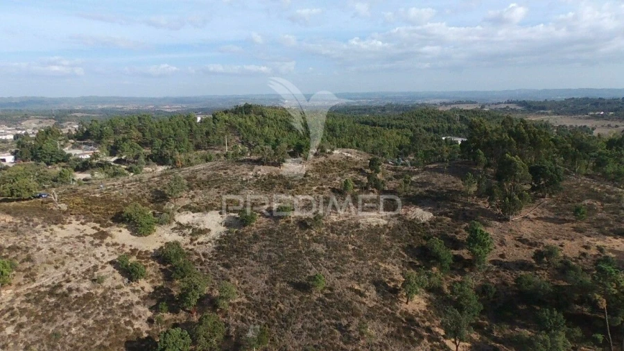 Terreno para Venda em São Luis Foto 9
