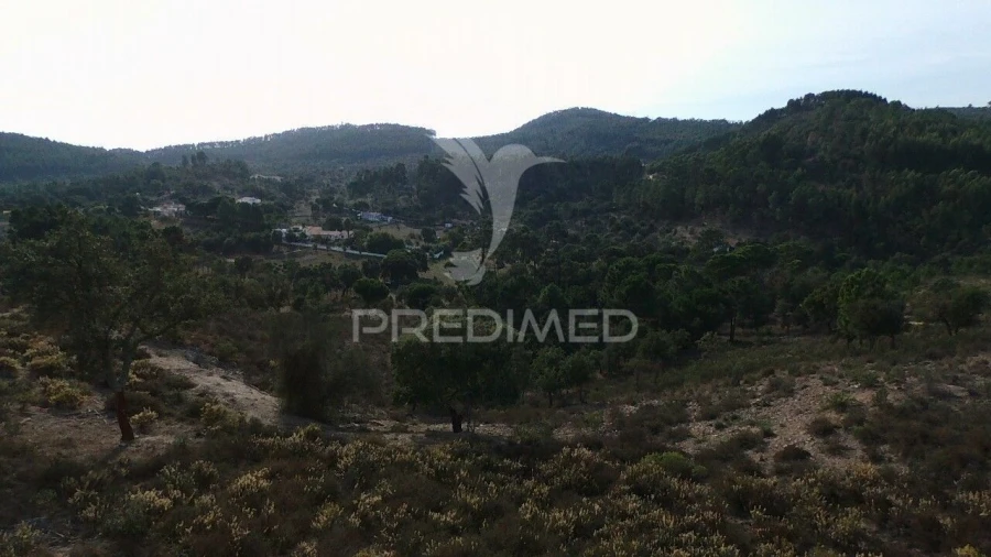 Terreno para Venda em São Luis Foto 6