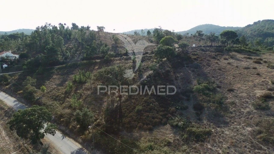 Terreno para Venda em São Luis Foto 5