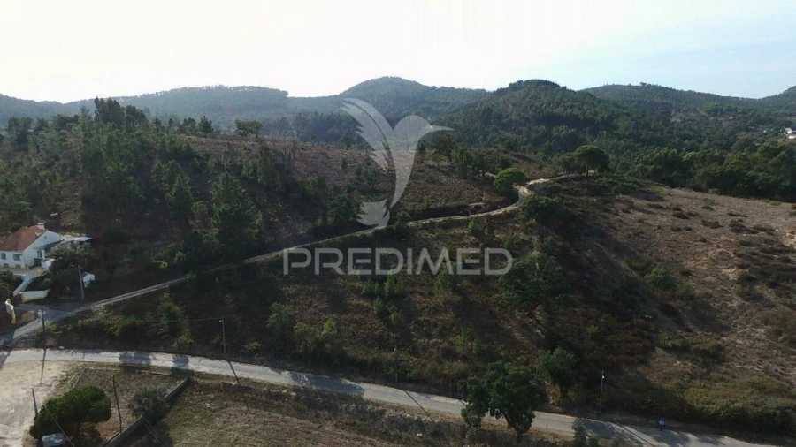 Terreno para Venda em São Luis Foto 4