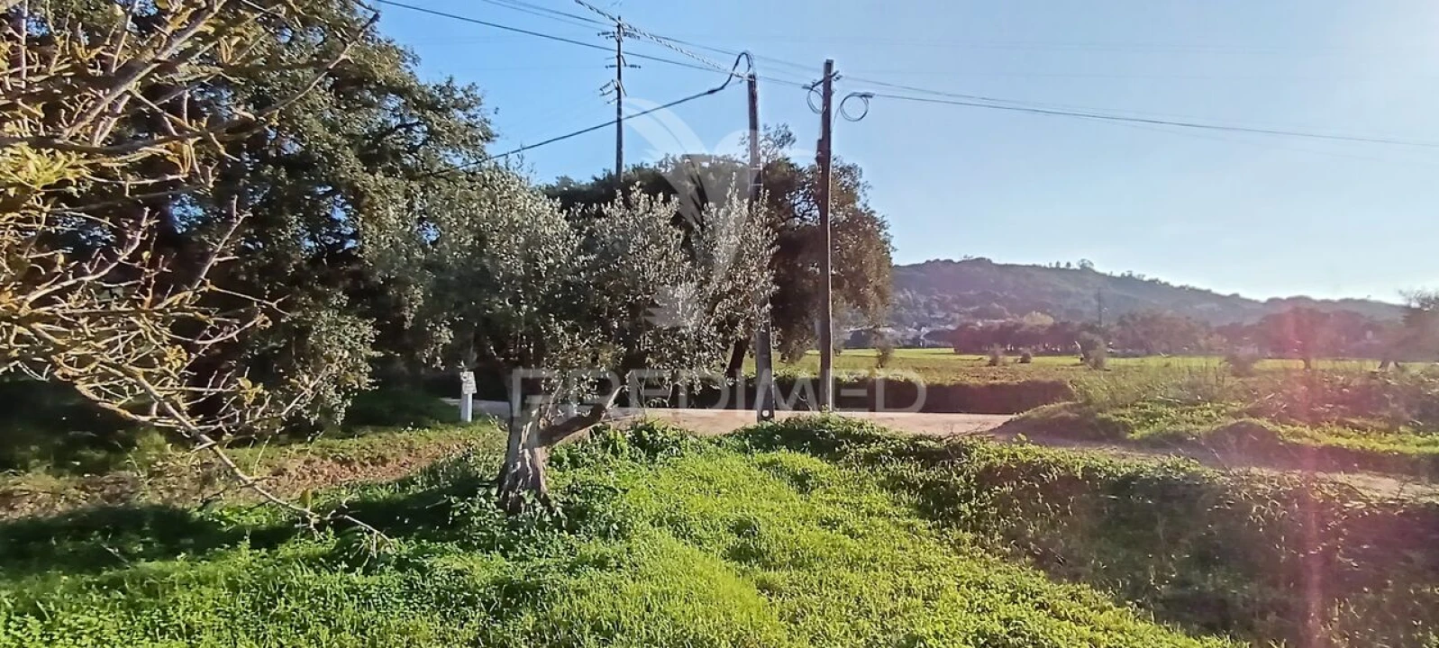 Terreno para Venda em Quinta do Anjo Foto 11