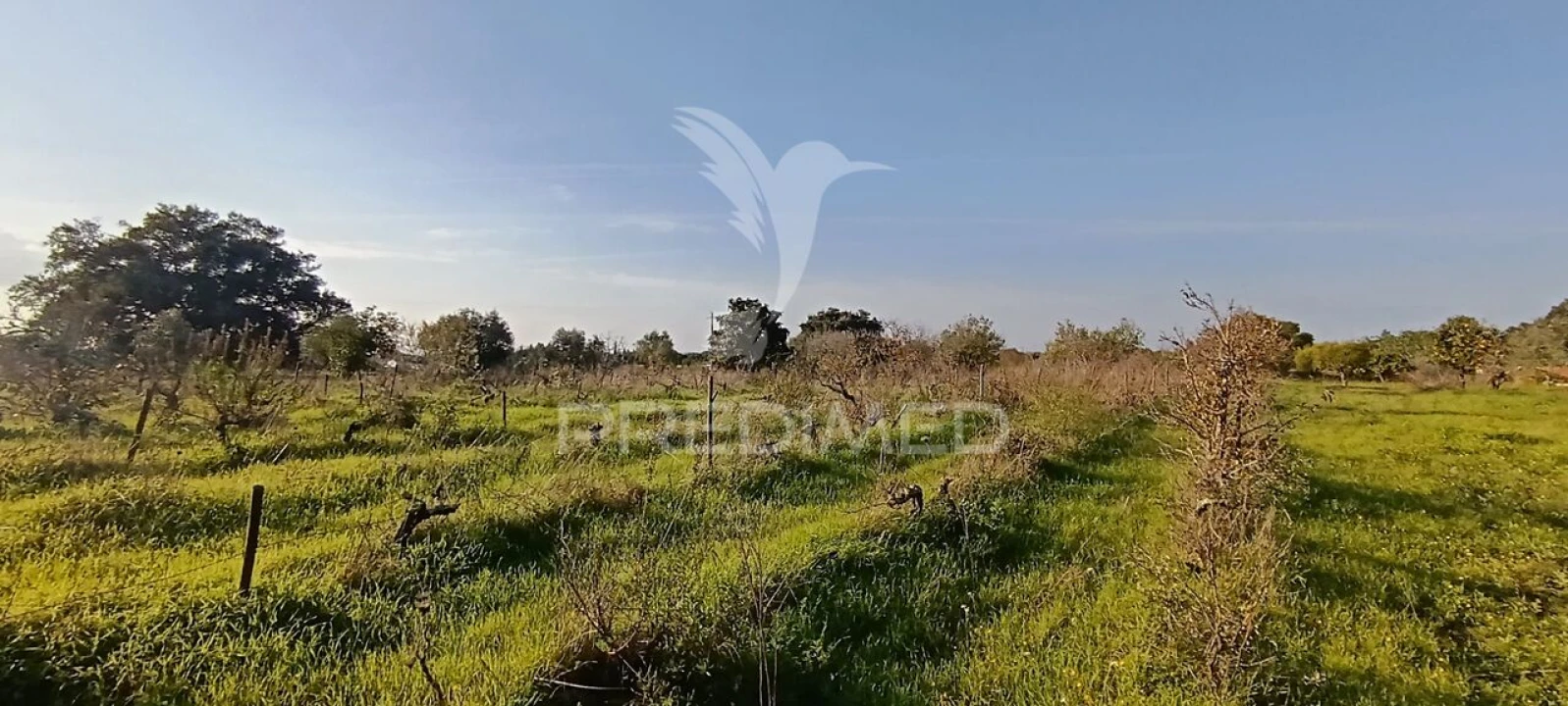 Terreno para Venda em Quinta do Anjo Foto 9