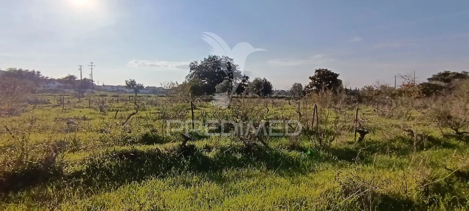 Terreno para Venda em Quinta do Anjo Foto 6