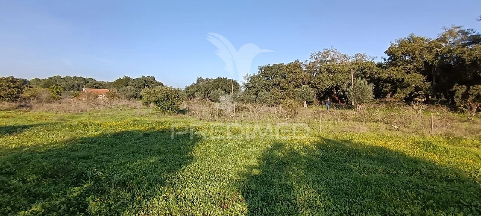 Terreno para Venda em Quinta do Anjo Foto 17