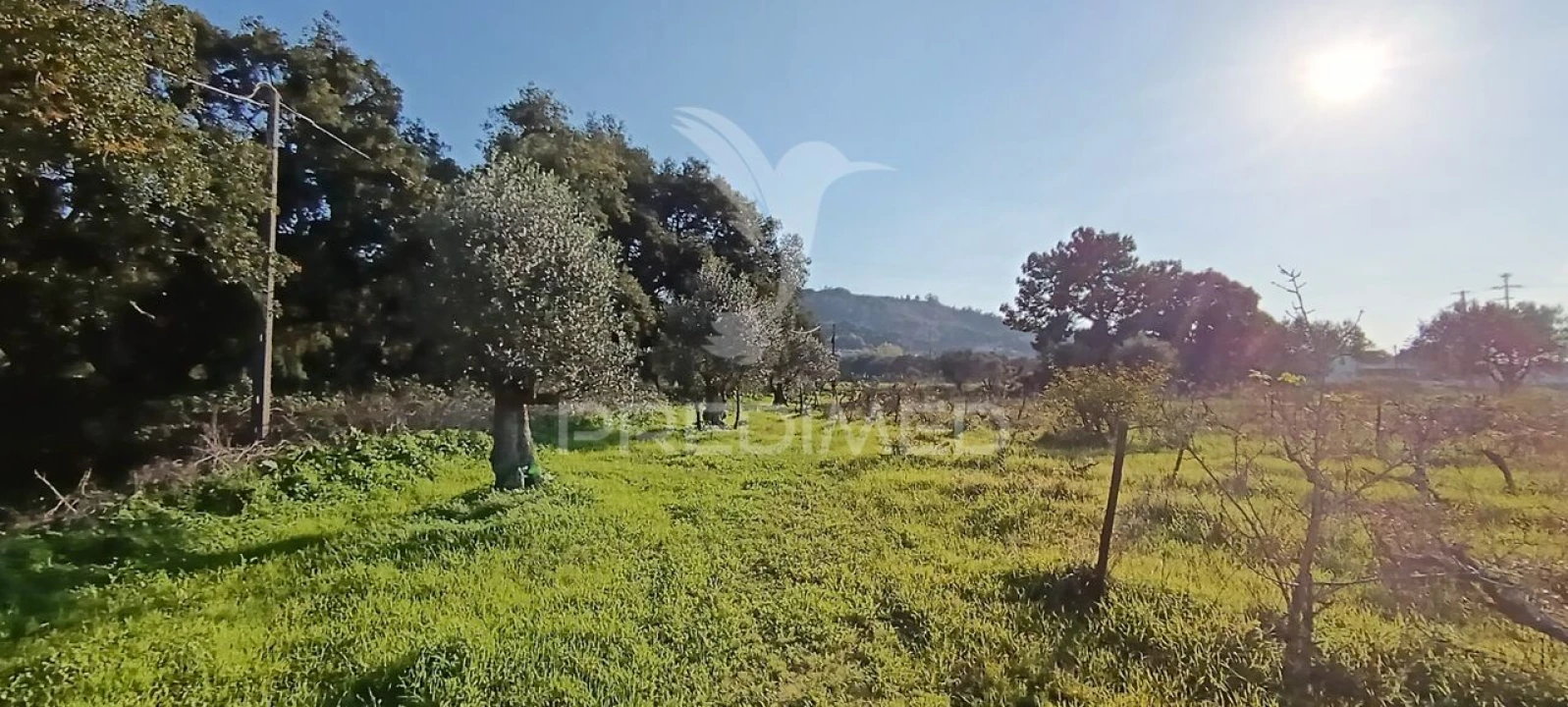 Terreno para Venda em Quinta do Anjo Foto 8