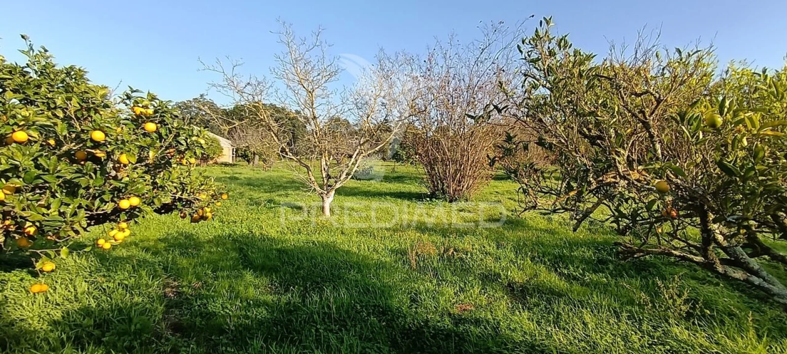 Terreno para Venda em Quinta do Anjo Foto 28
