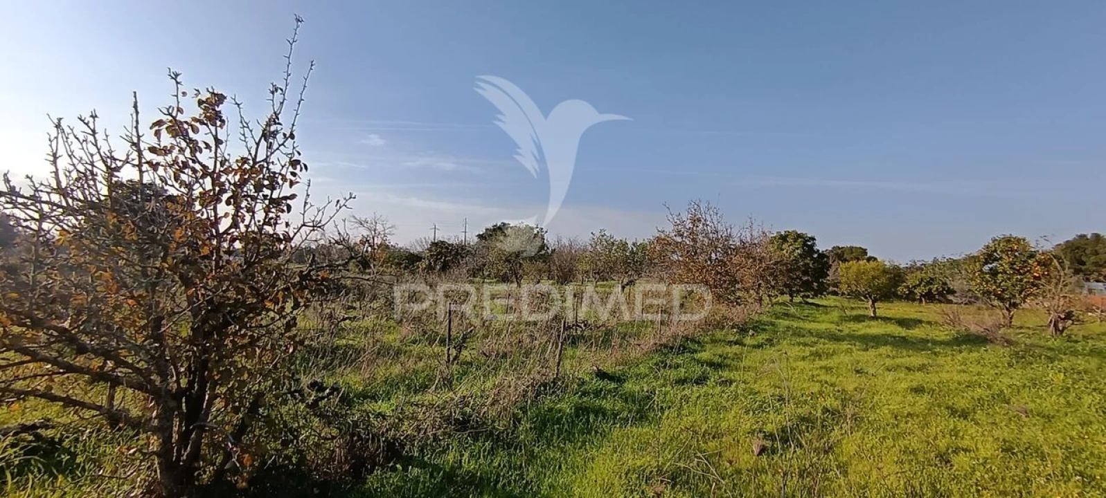 Terreno para Venda em Quinta do Anjo Foto 7