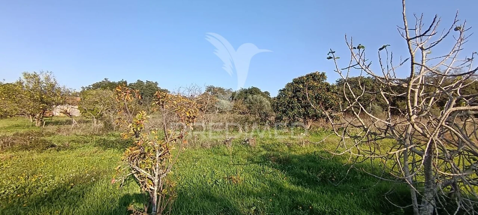 Terreno para Venda em Quinta do Anjo Foto 19