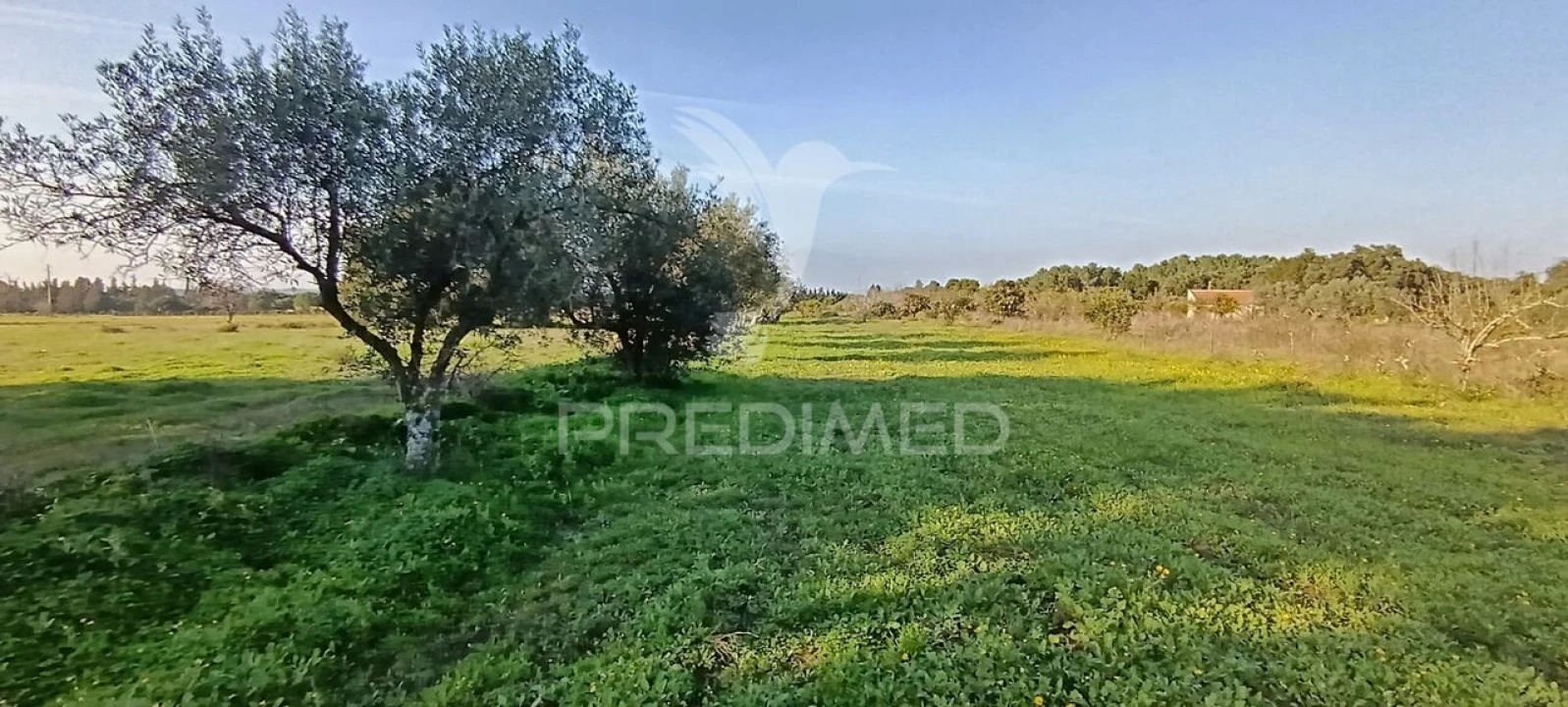 Terreno para Venda em Quinta do Anjo Foto 13