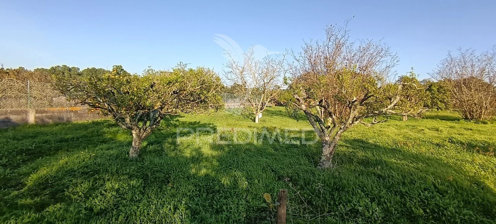 Terreno para Venda em Quinta do Anjo Foto 25