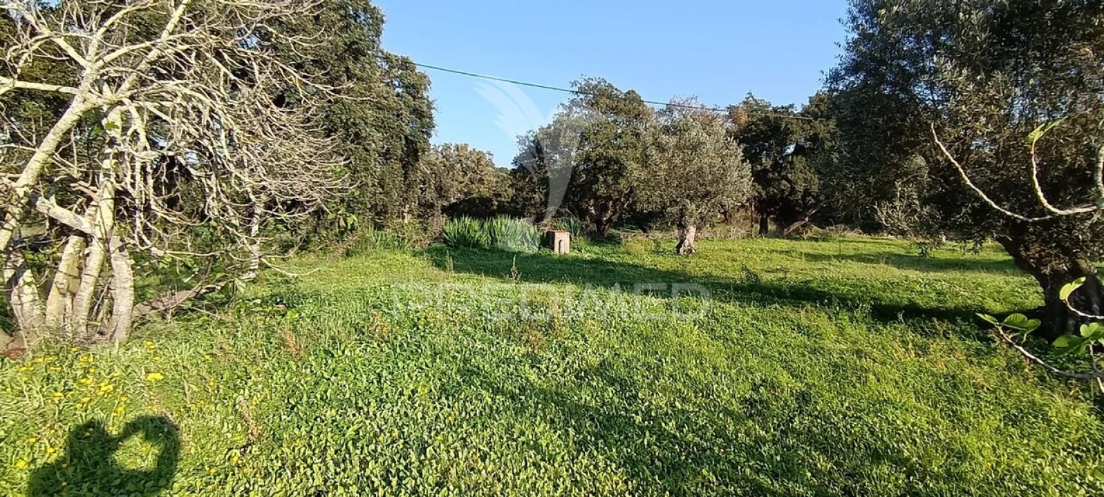 Terreno para Venda em Quinta do Anjo Foto 36