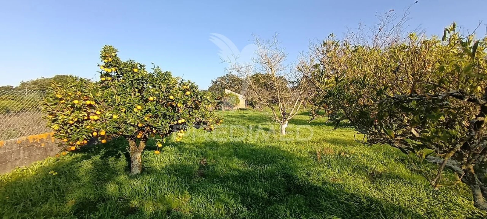 Terreno para Venda em Quinta do Anjo Foto 26