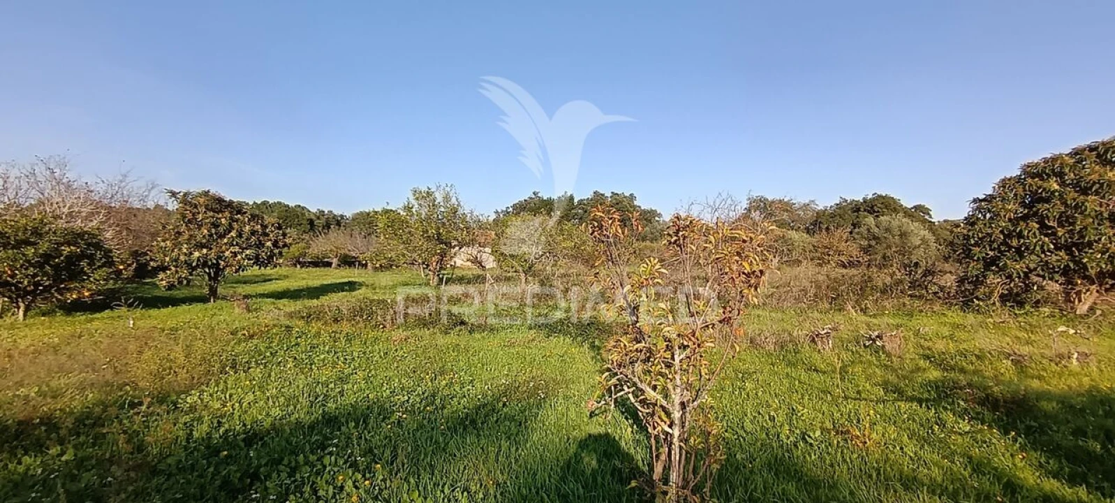 Terreno para Venda em Quinta do Anjo Foto 20