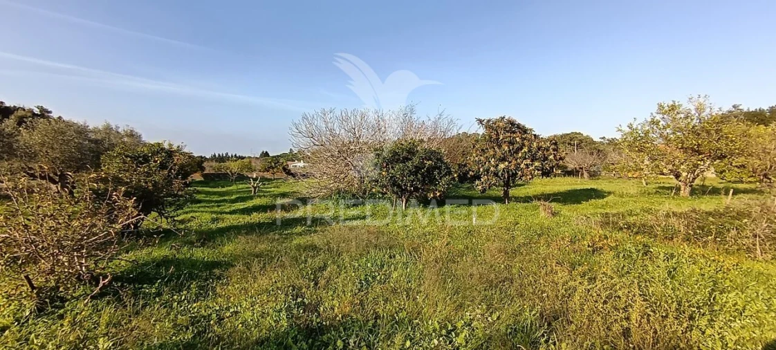 Terreno para Venda em Quinta do Anjo Foto 21