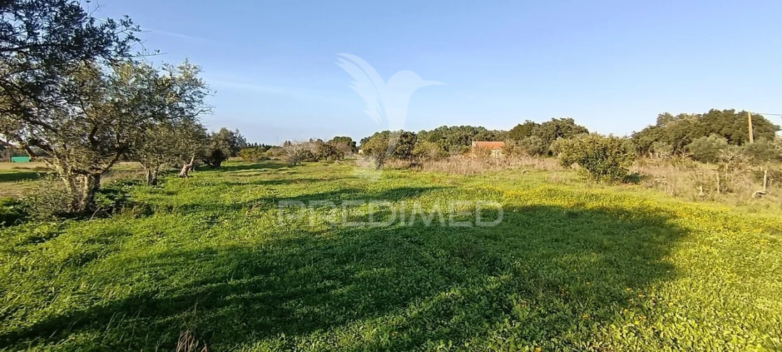 Terreno para Venda em Quinta do Anjo Foto 16