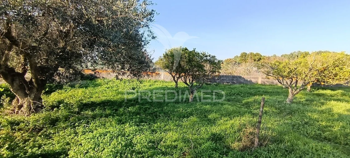 Terreno para Venda em Quinta do Anjo Foto 23