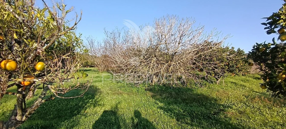 Terreno para Venda em Quinta do Anjo Foto 22