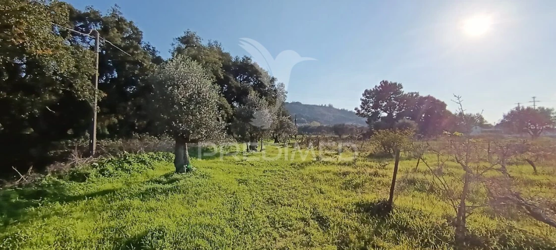 Terreno para Venda em Quinta do Anjo Foto 8