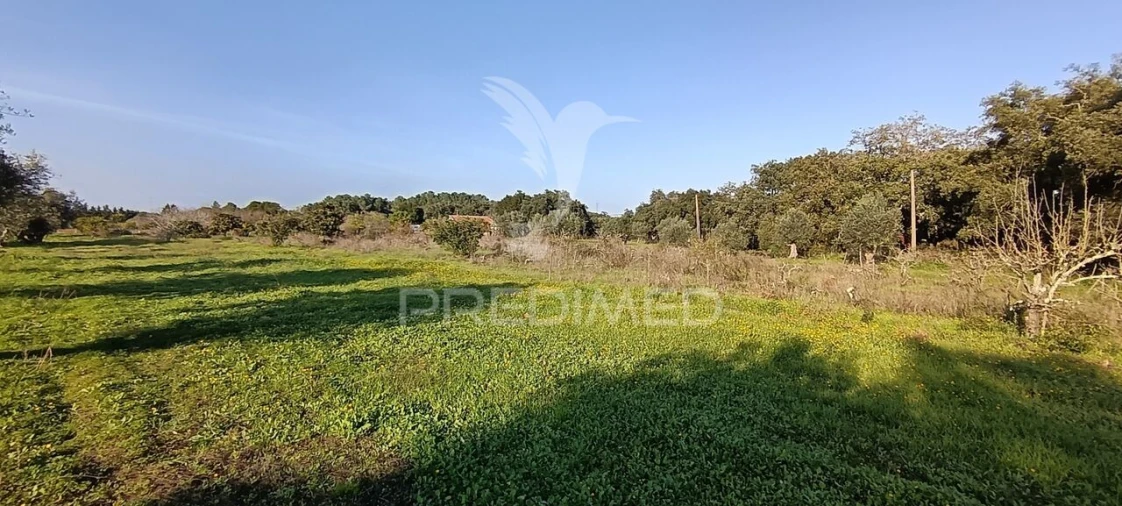 Terreno para Venda em Quinta do Anjo Foto 15