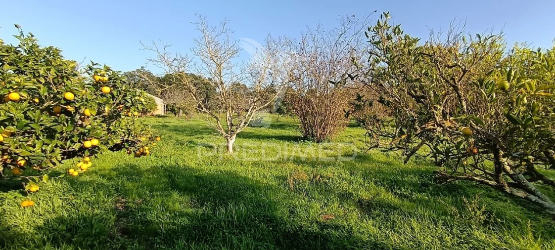 Terreno para Venda em Quinta do Anjo Foto 28