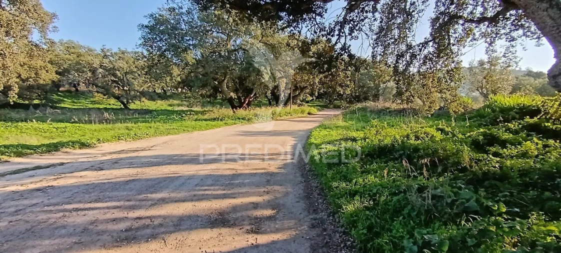 Terreno para Venda em Quinta do Anjo Foto 38