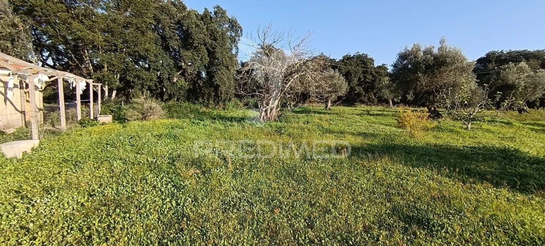 Terreno para Venda em Quinta do Anjo Foto 35
