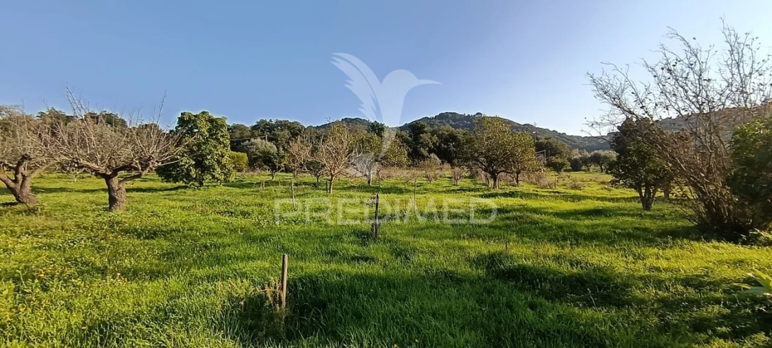 Terreno para Venda em Quinta do Anjo Foto 31