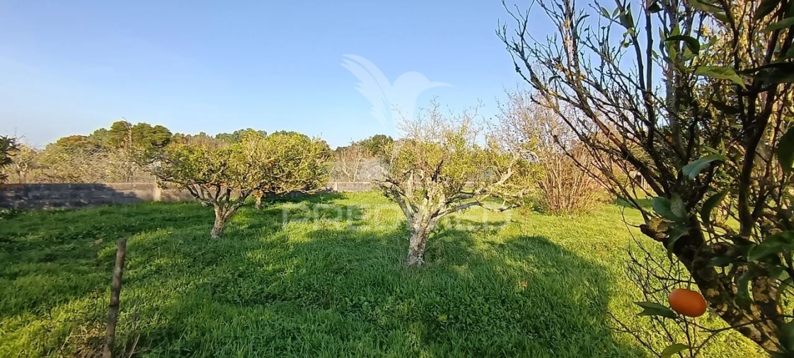 Terreno para Venda em Quinta do Anjo Foto 24